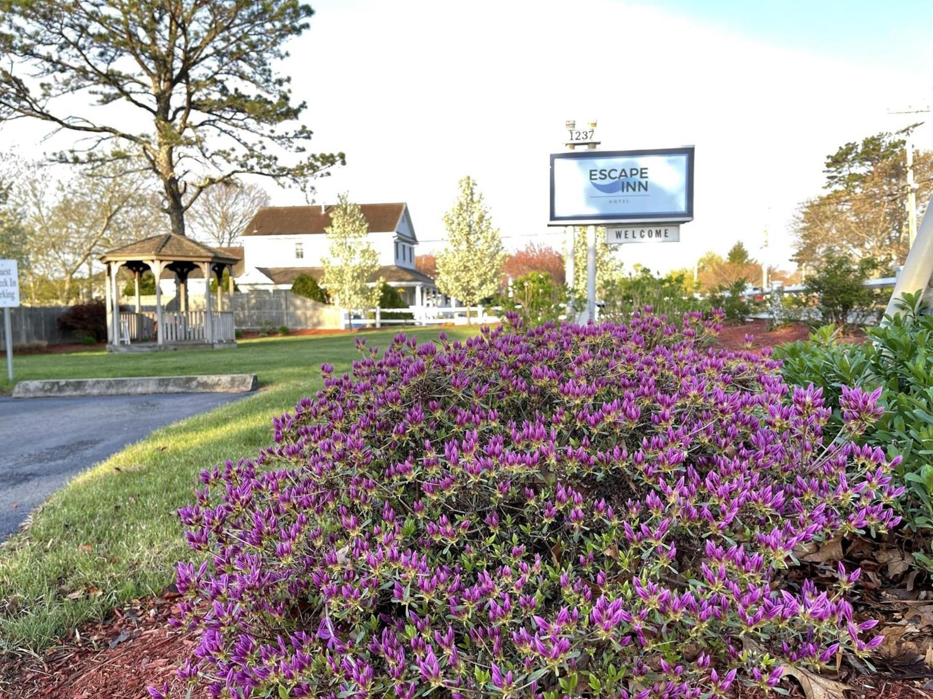 The Escape Inn photo 27