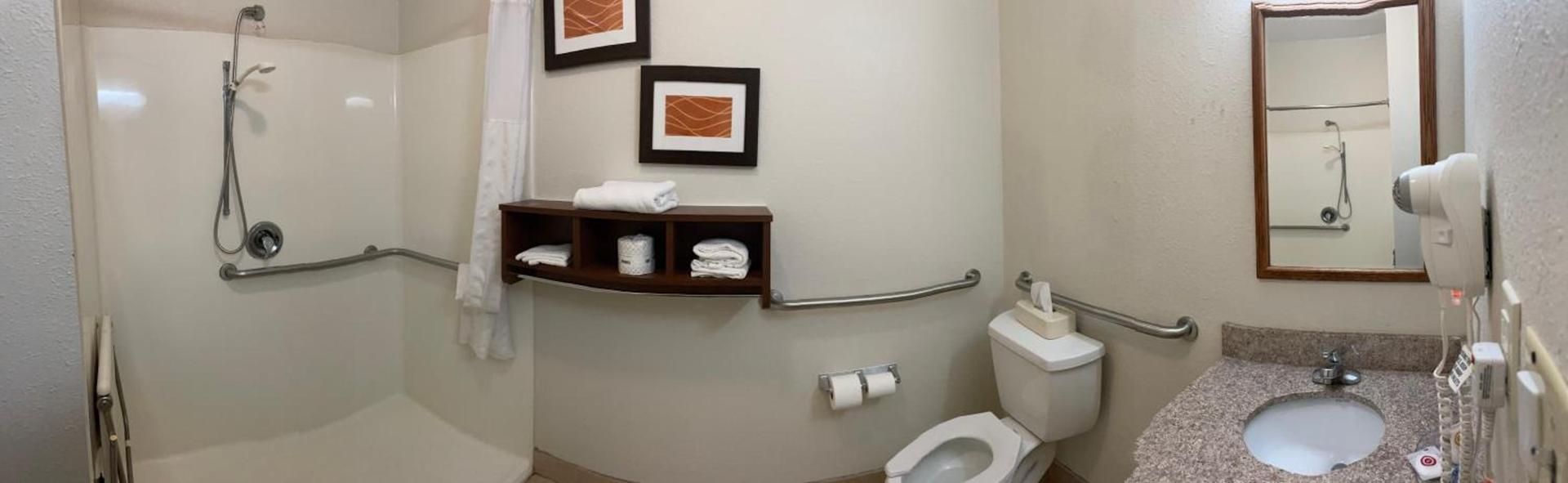 Comfort Inn Downtown - University Area photo 33