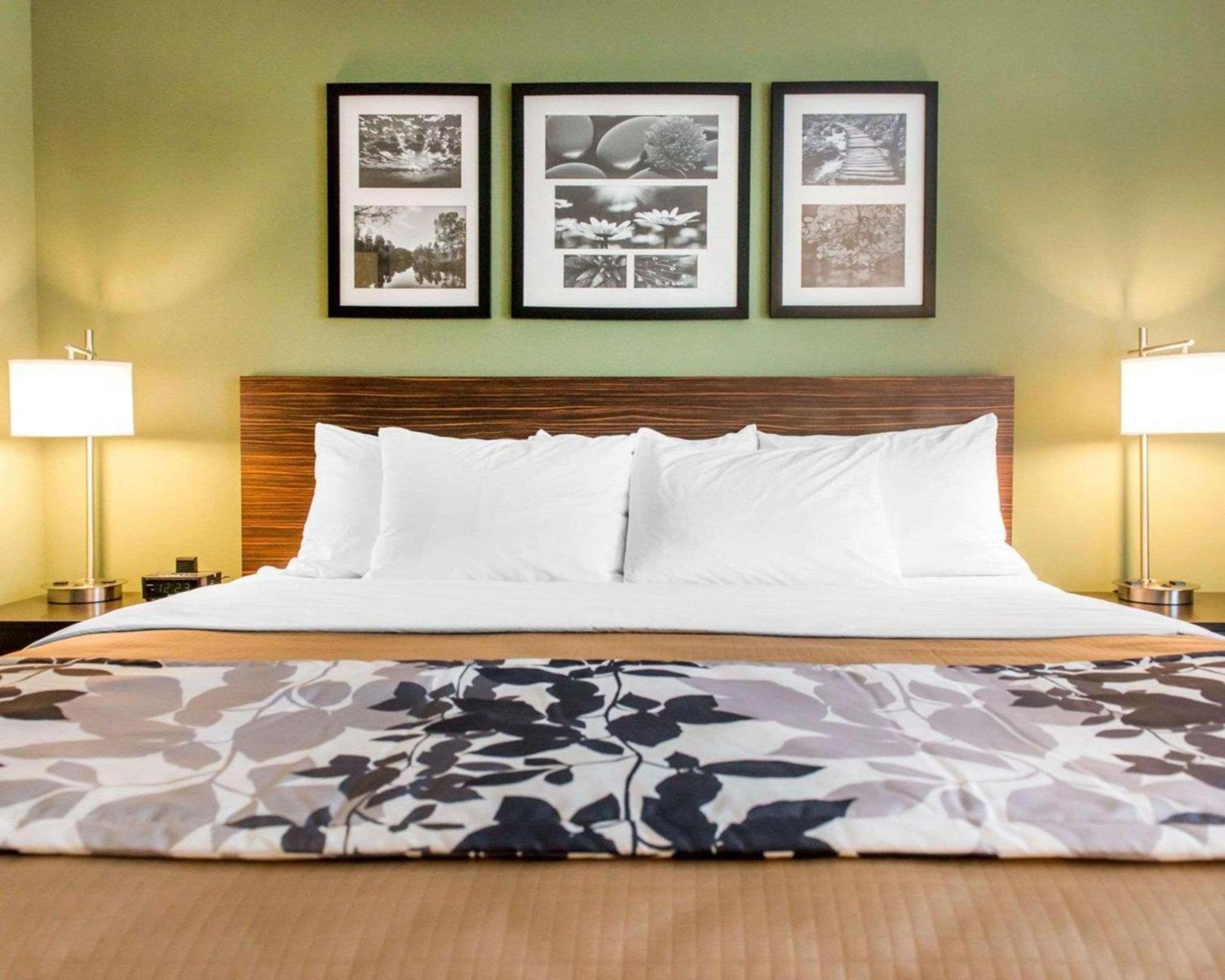 Sleep Inn & Suites Defuniak Springs - Crestview photo 5