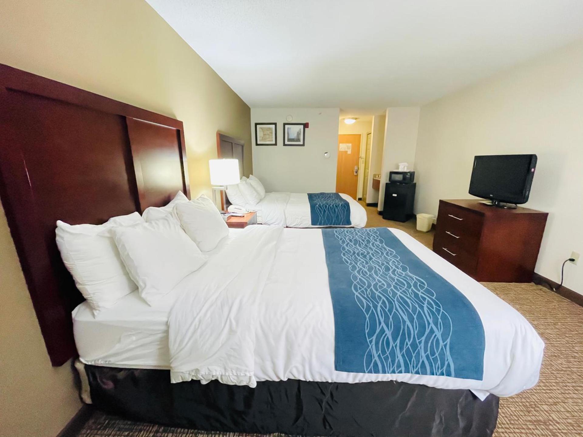 Comfort Inn Downtown - University Area photo 41