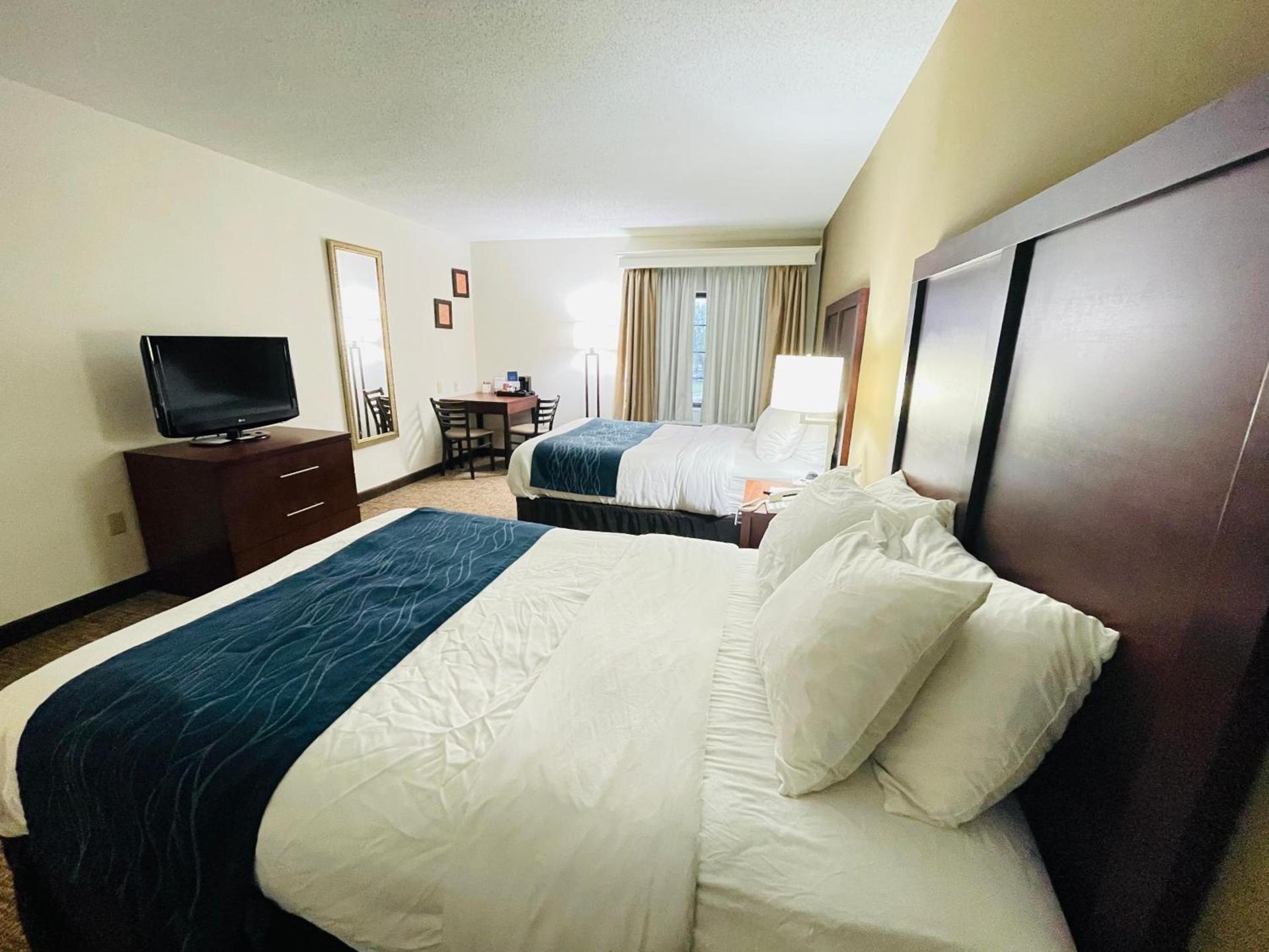 Comfort Inn Downtown - University Area photo 40