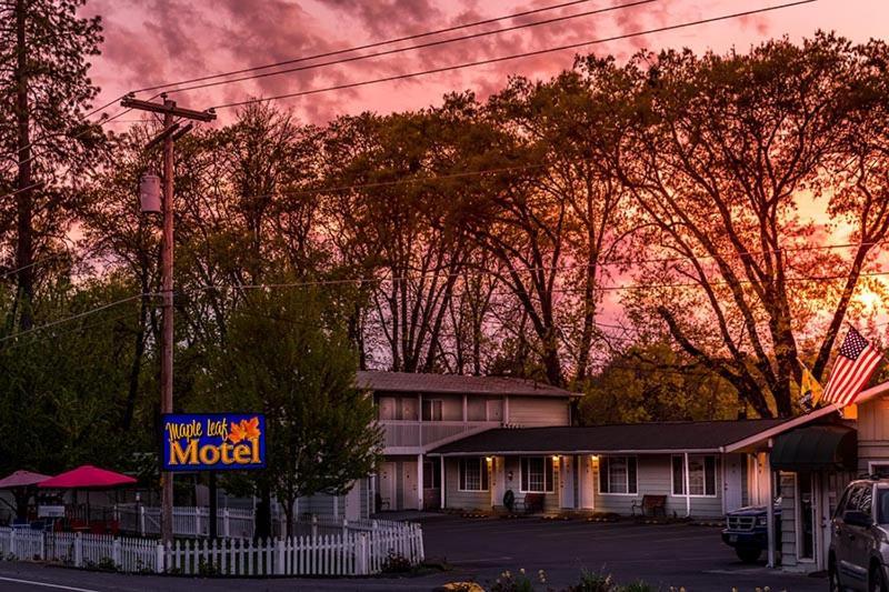 Maple Leaf Motel photo 14