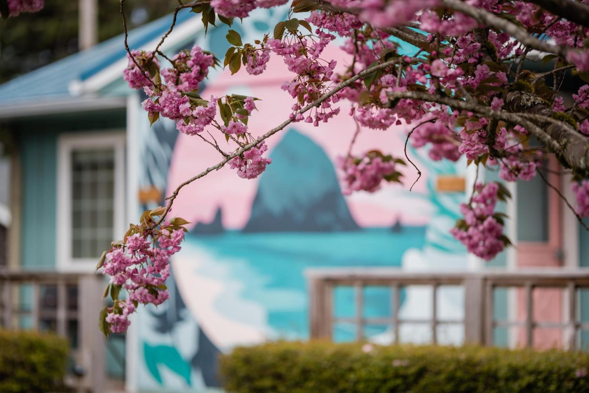 Inn at Haystack Rock photo 25