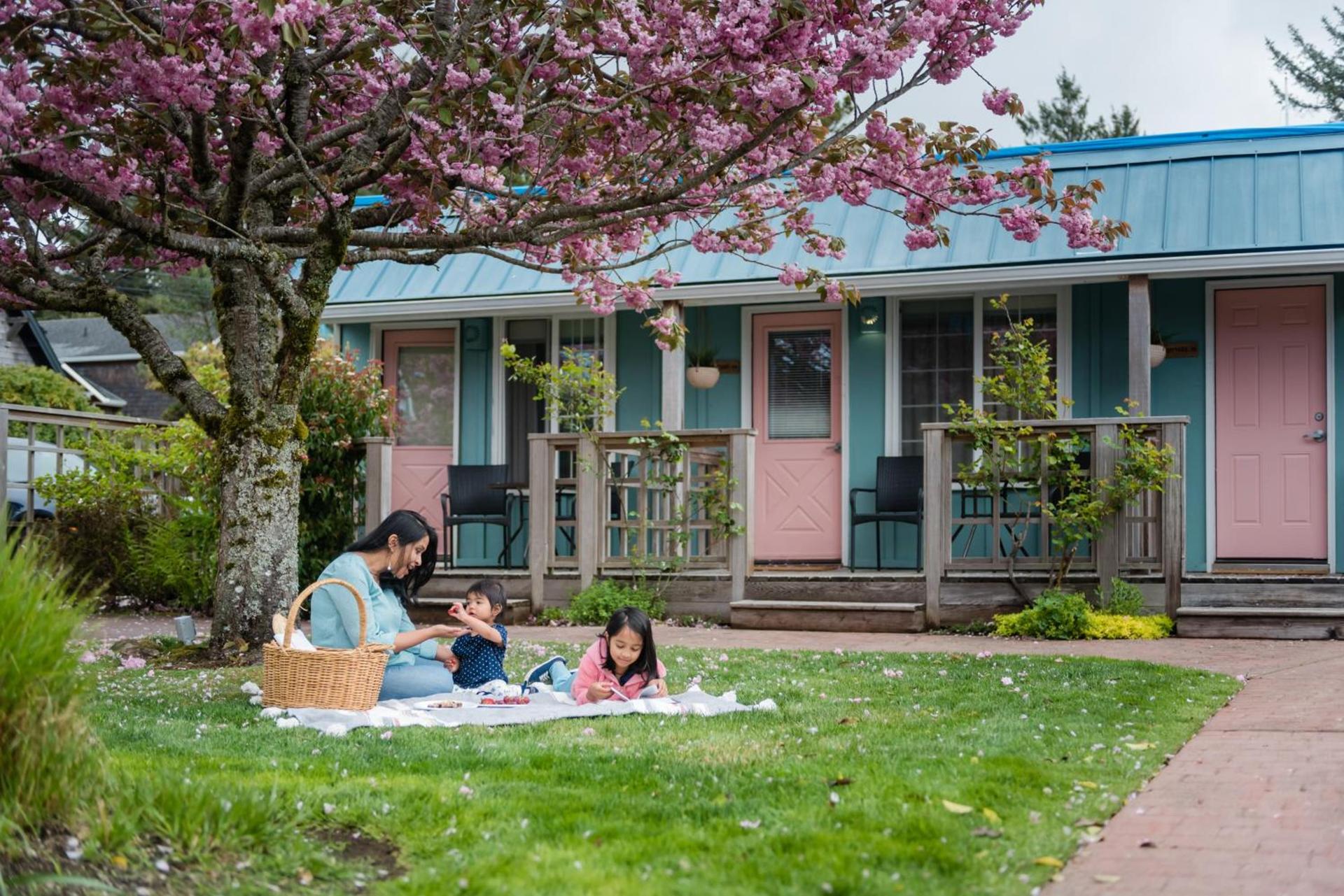Inn at Haystack Rock photo 24
