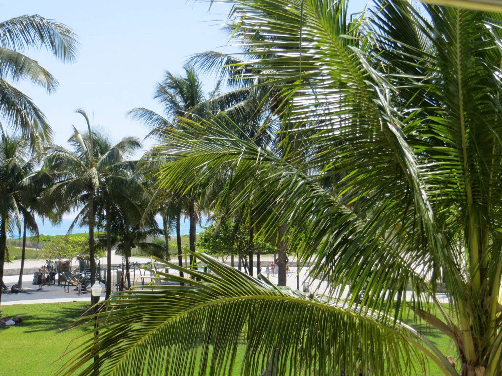 Leslie Hotel Ocean Drive photo 49