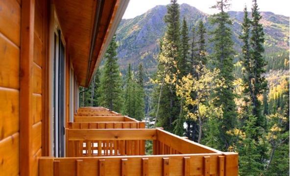 Denali Grizzly Bear Resort photo 9