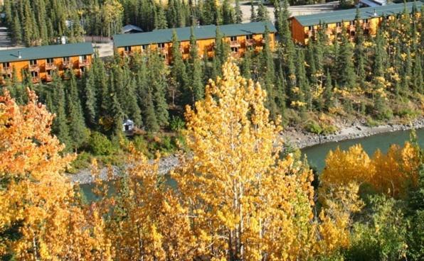 Denali Grizzly Bear Resort photo 19