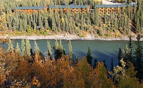 Denali Grizzly Bear Resort — hotel in McKinley Park
