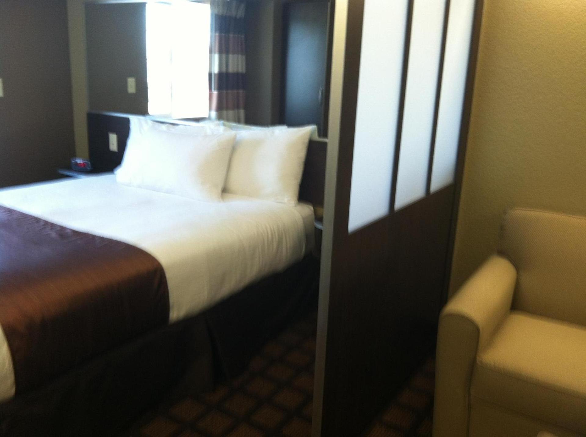 Microtel Inn & Suites Pleasanton photo 25