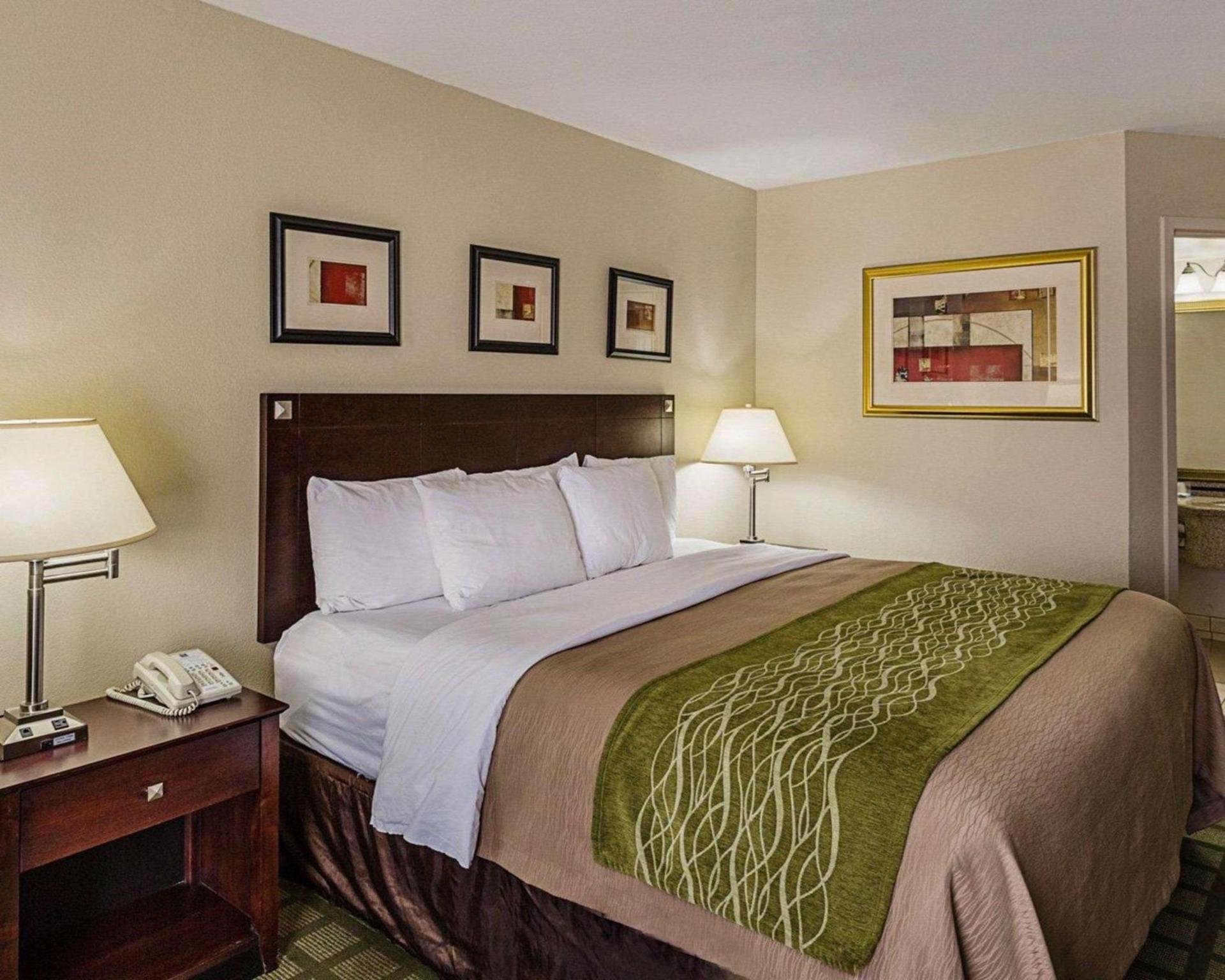 Comfort Inn Southwest Fwy at Westpark photo 10