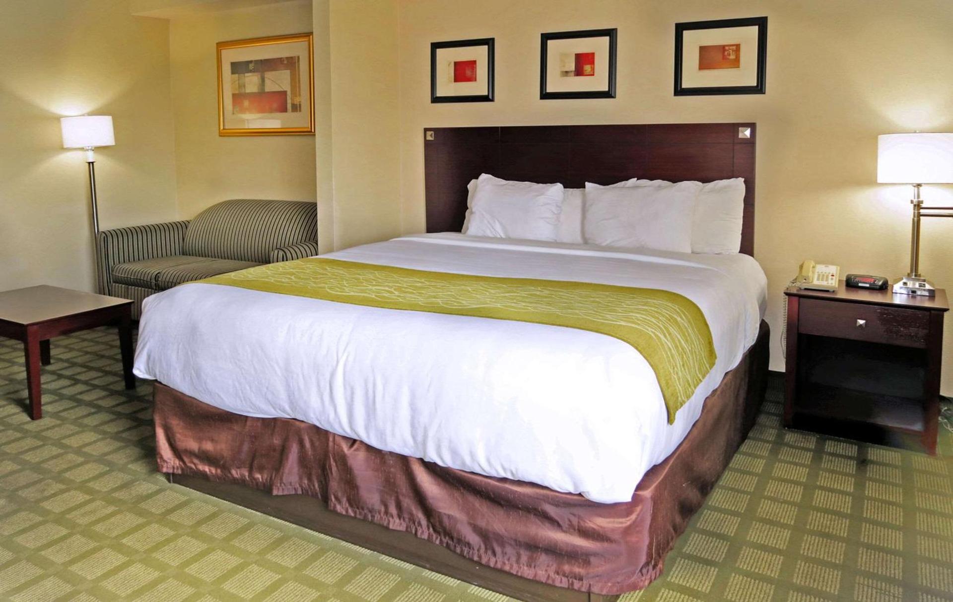 Comfort Inn Southwest Fwy at Westpark photo 16