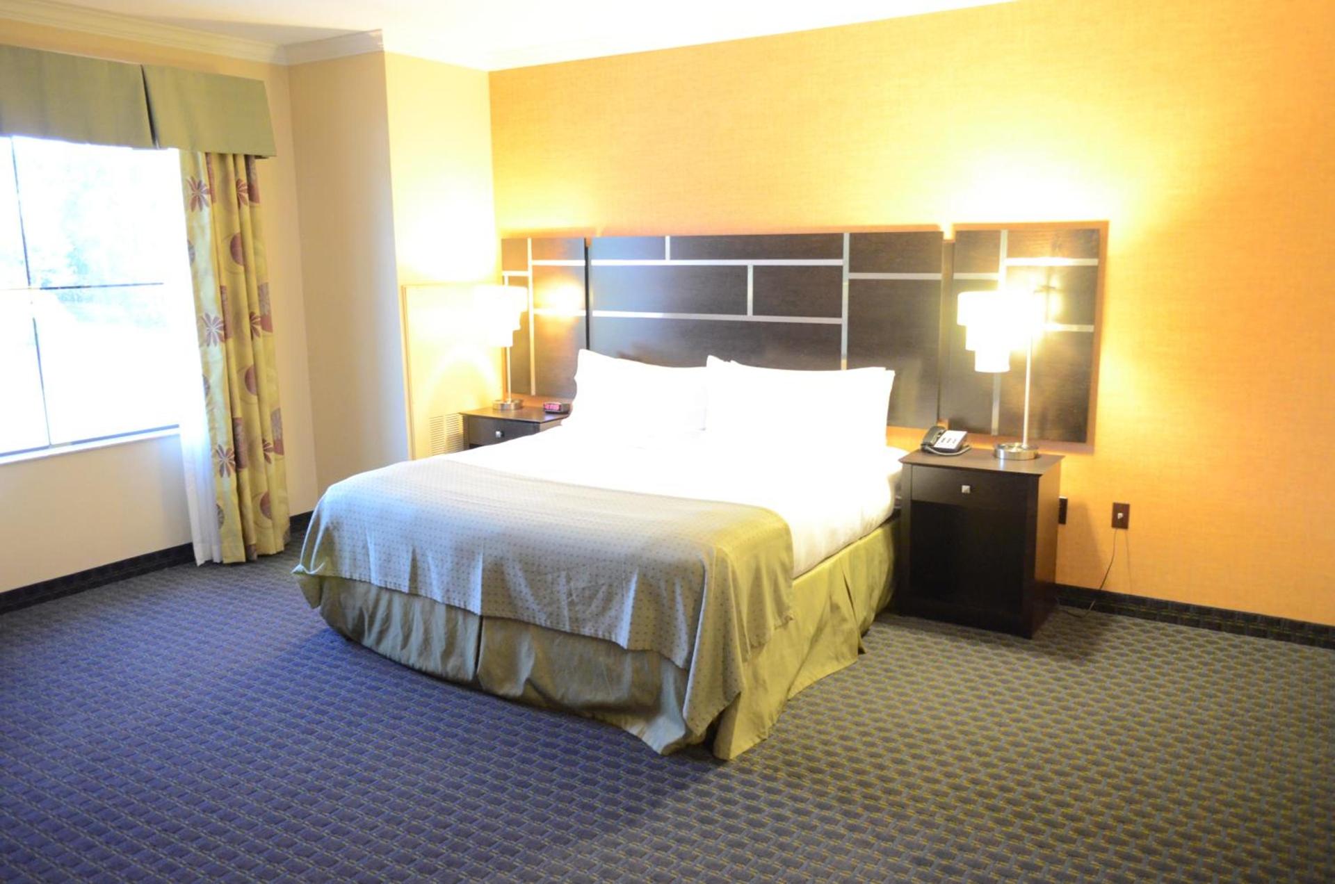 Holiday Inn Houston East-Channelview by IHG photo 8