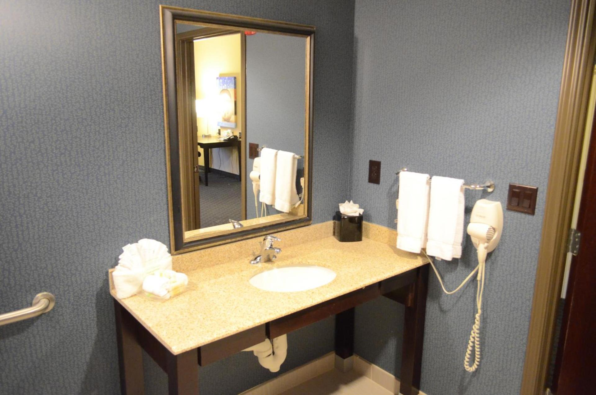 Holiday Inn Houston East-Channelview by IHG photo 9