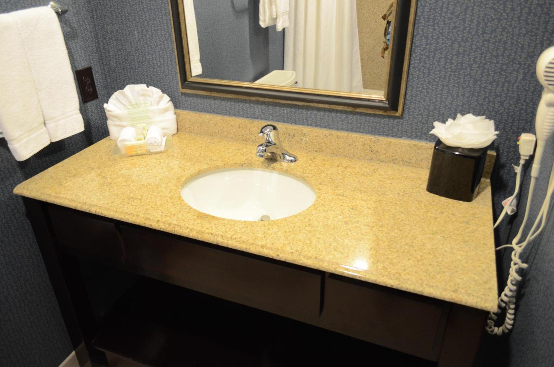 Holiday Inn Houston East-Channelview by IHG photo 13
