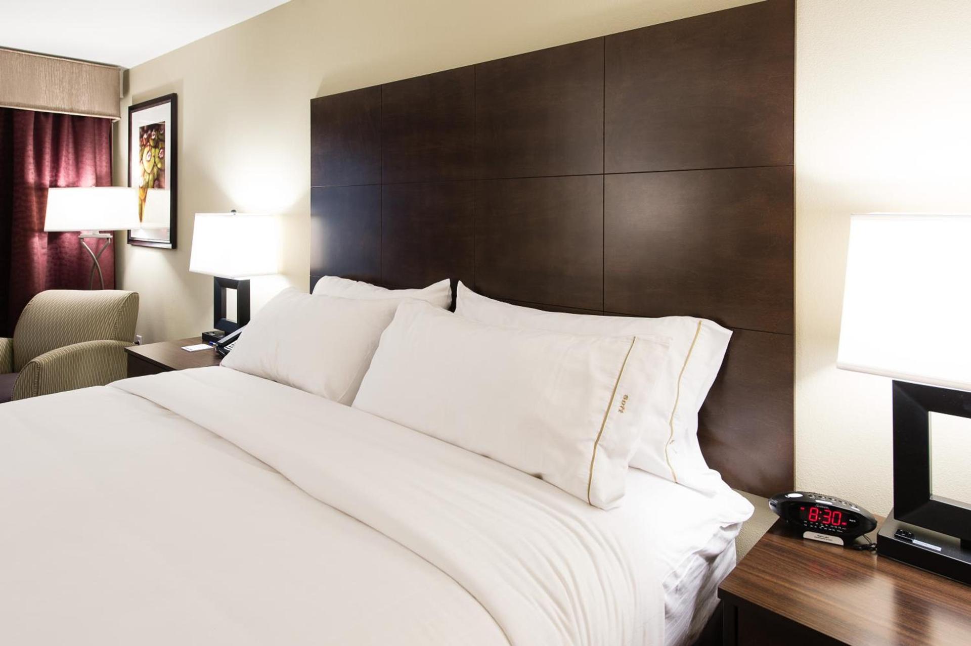 Holiday Inn Express & Suites Aiken by IHG photo 10