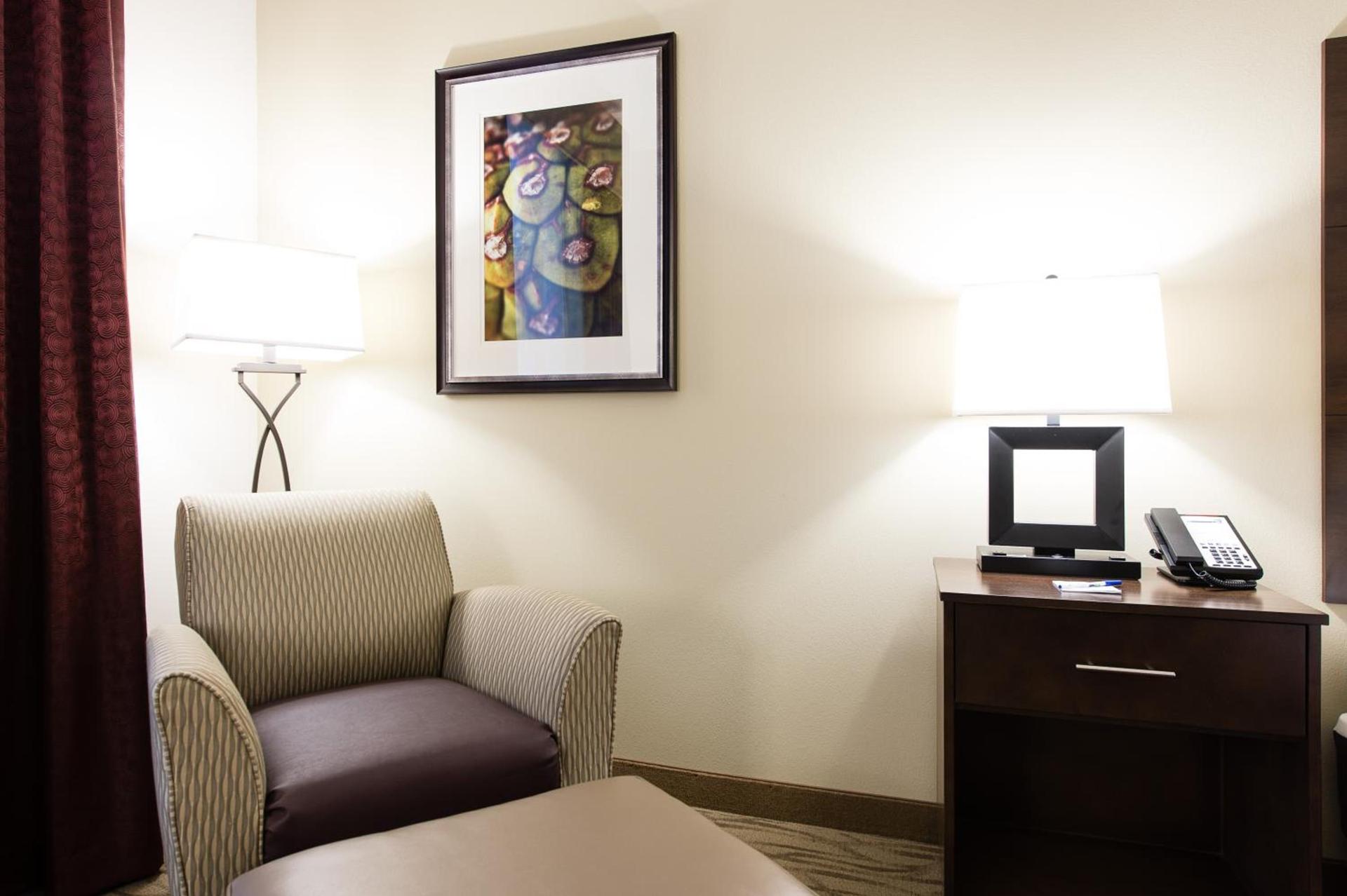 Holiday Inn Express & Suites Aiken by IHG photo 14