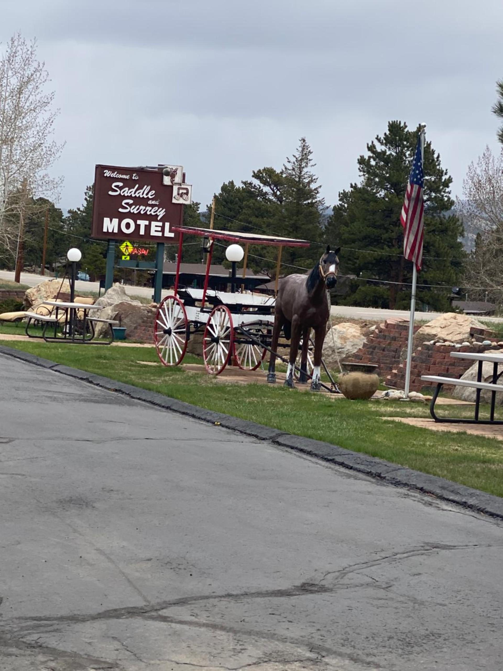Saddle & Surrey Motel — hotel in Estes Park, CO
