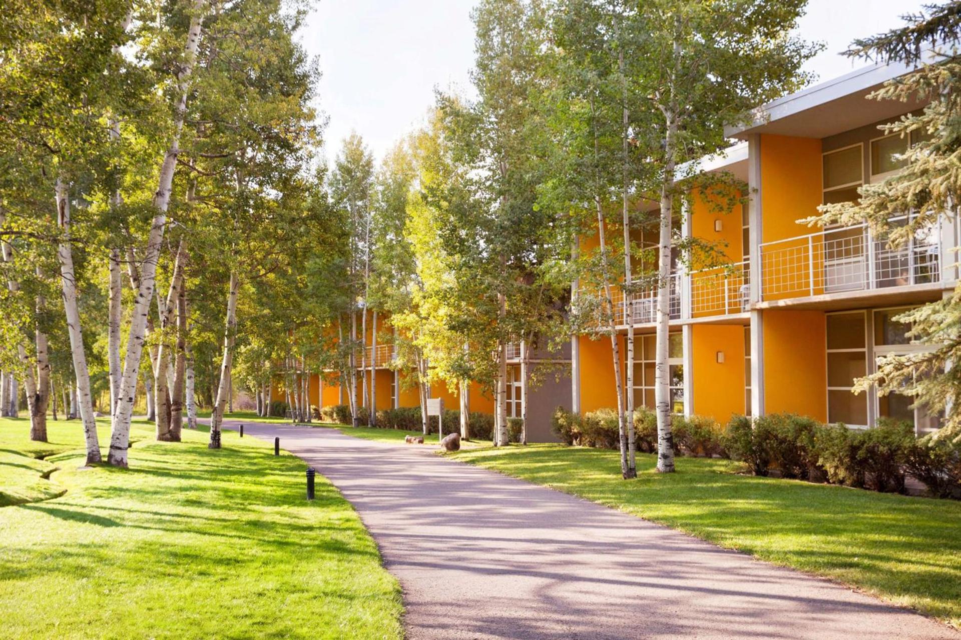 Aspen Meadows Resort photo 42