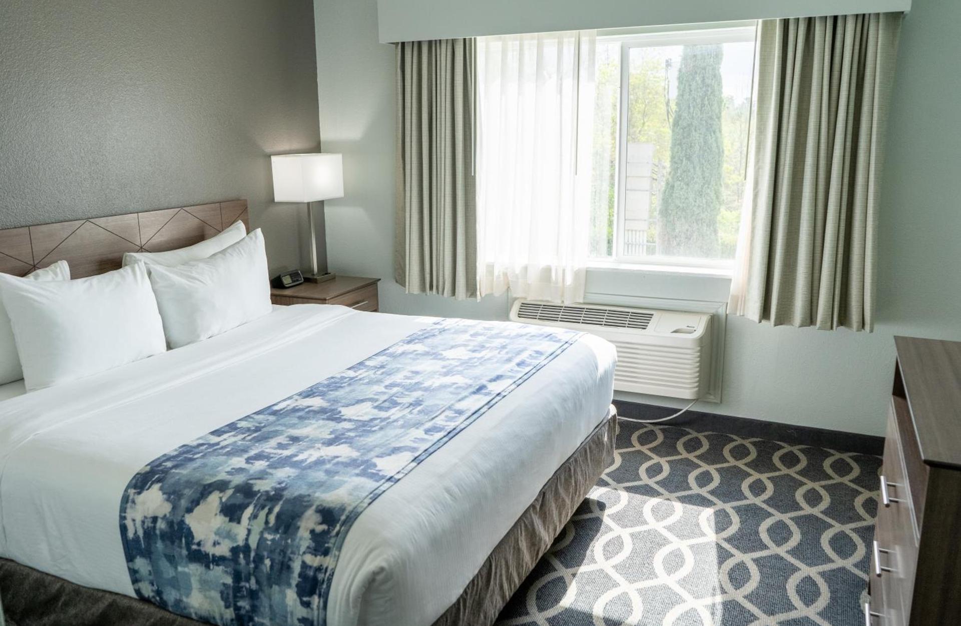 Wingate by Wyndham Humble/Houston Intercontinental Airport photo 99