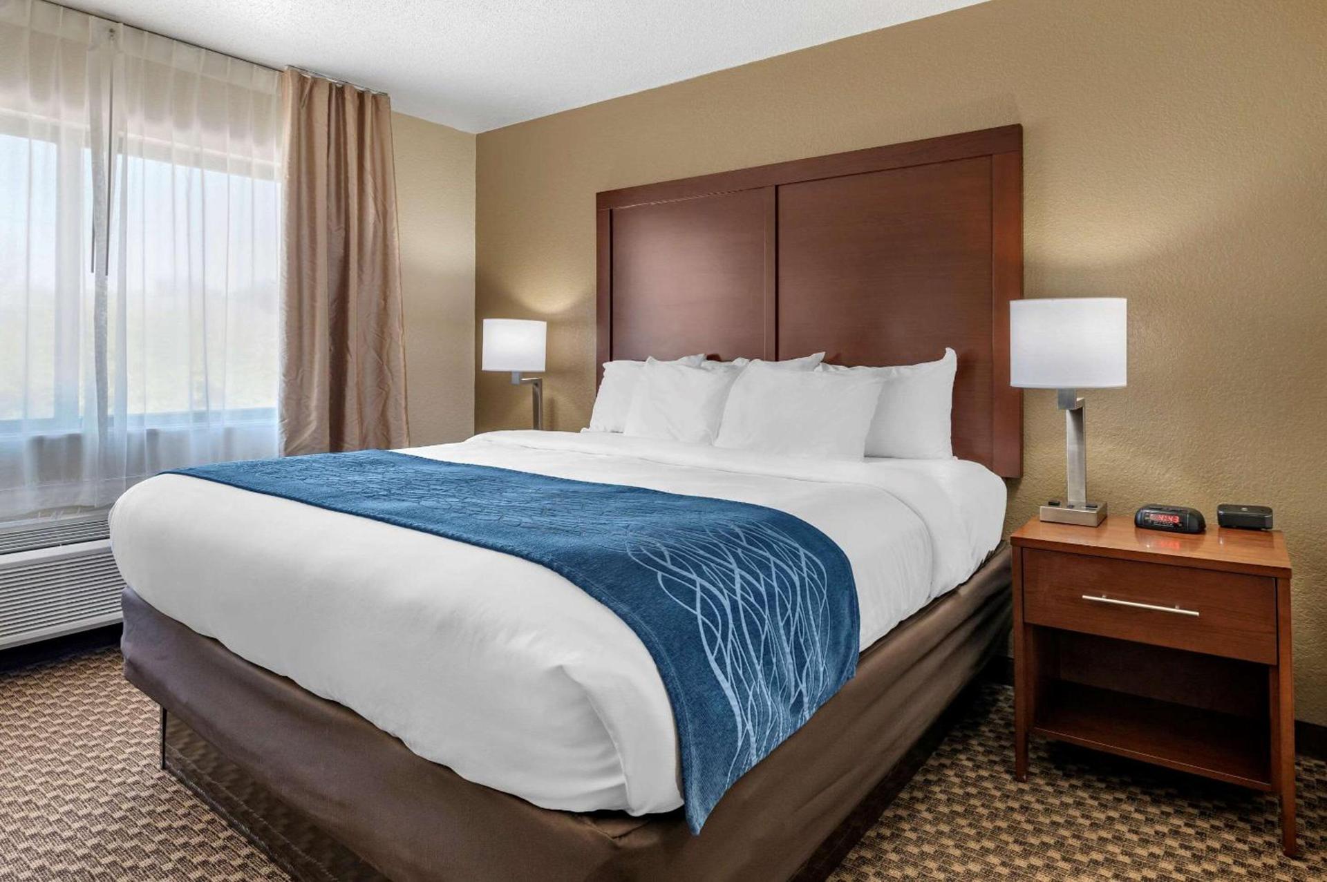 Comfort Inn Near Kokomo Speedway photo 22