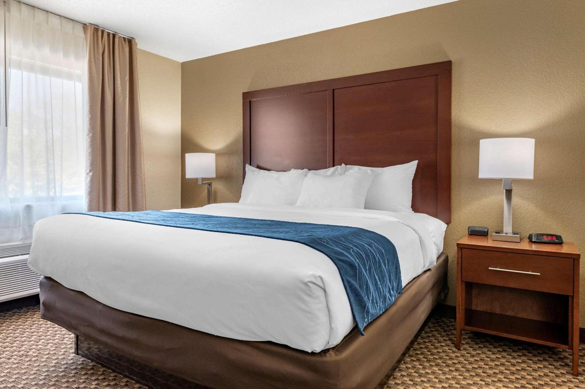Comfort Inn Near Kokomo Speedway photo 33