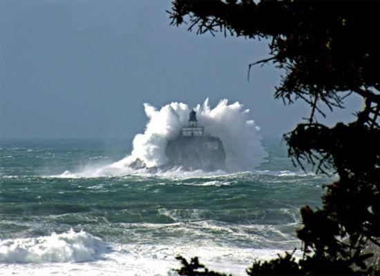 Webb's Scenic Surf photo 98