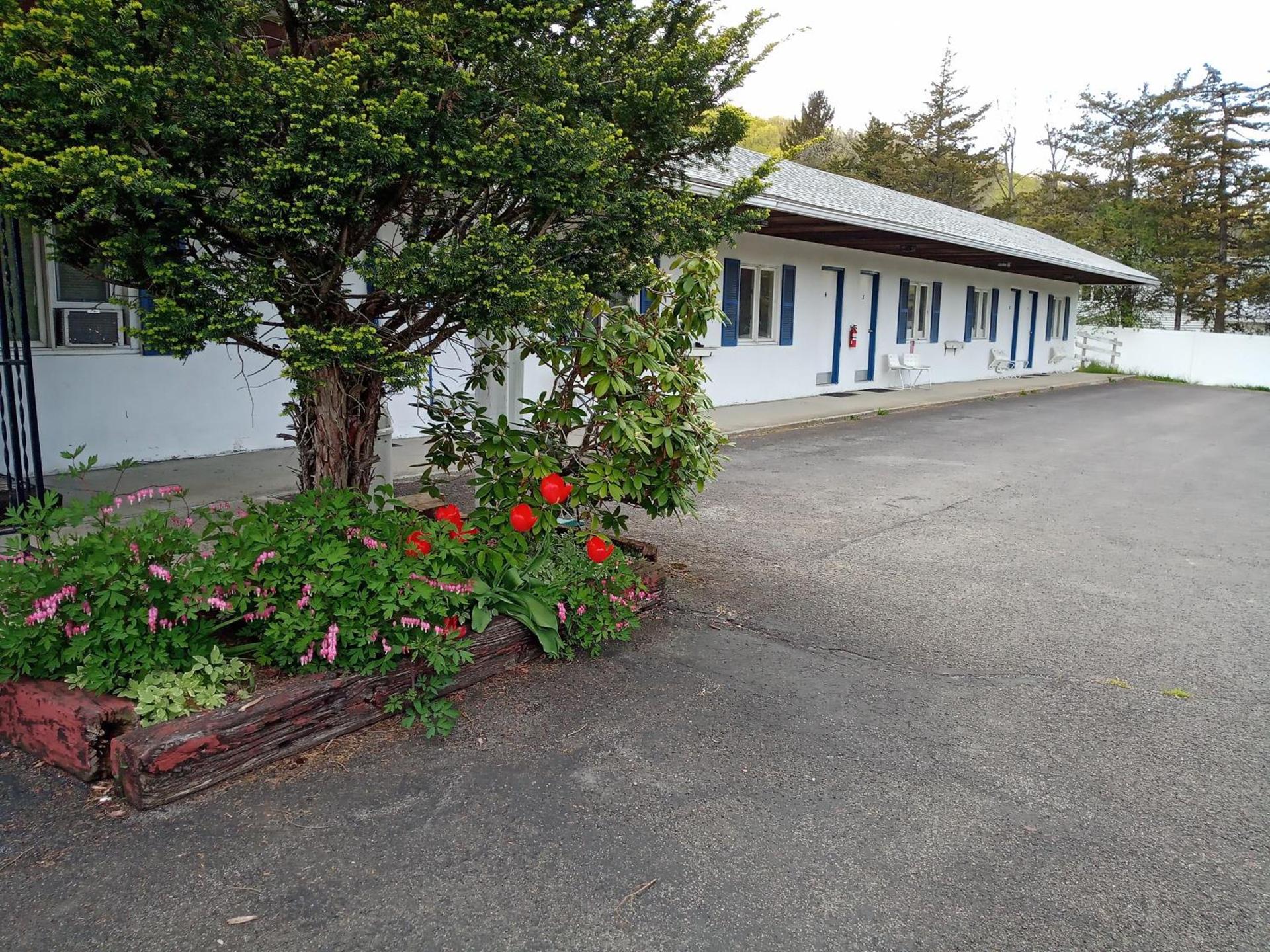 Elm Tree Motel photo 13