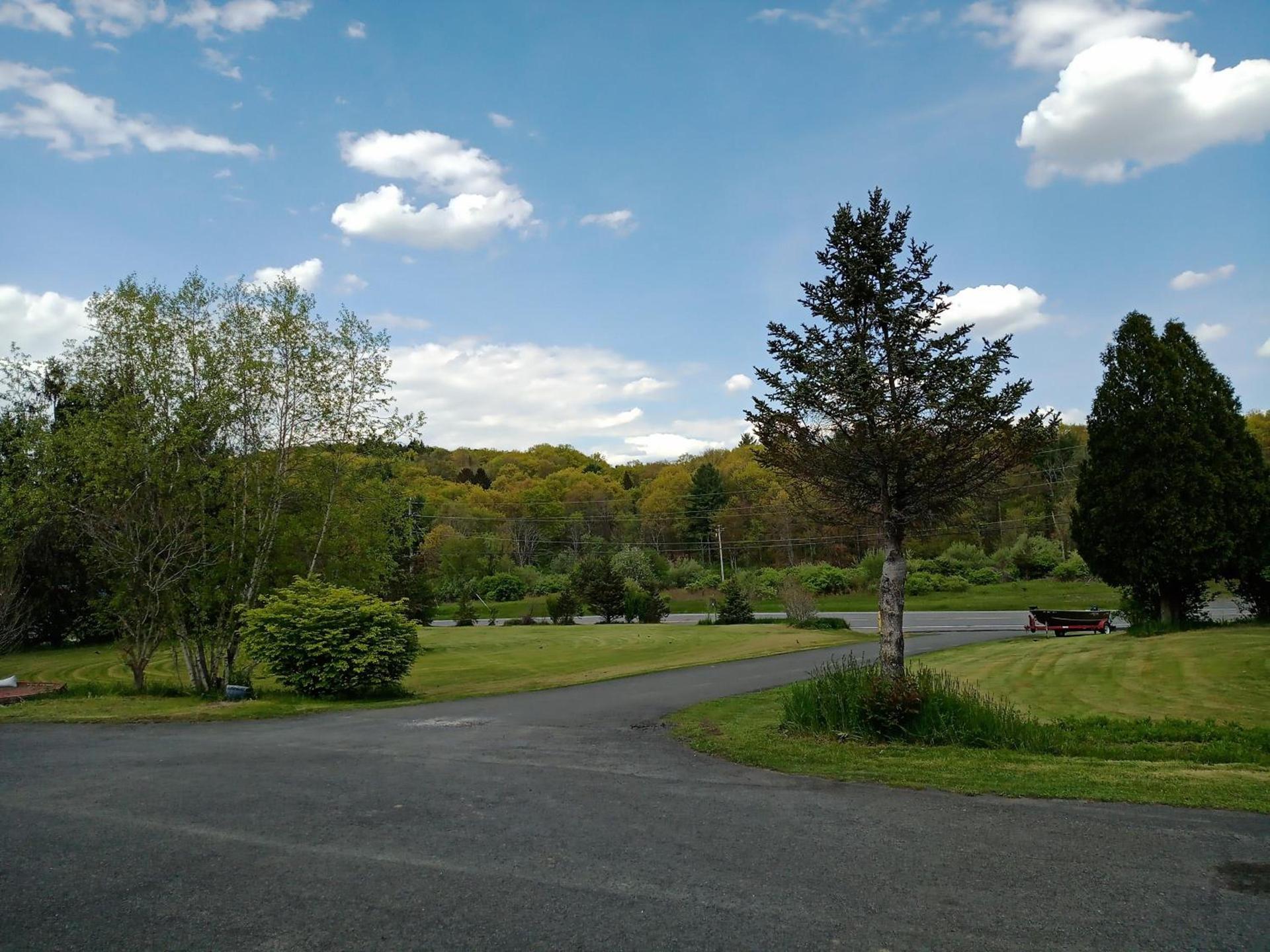 Elm Tree Motel photo 11