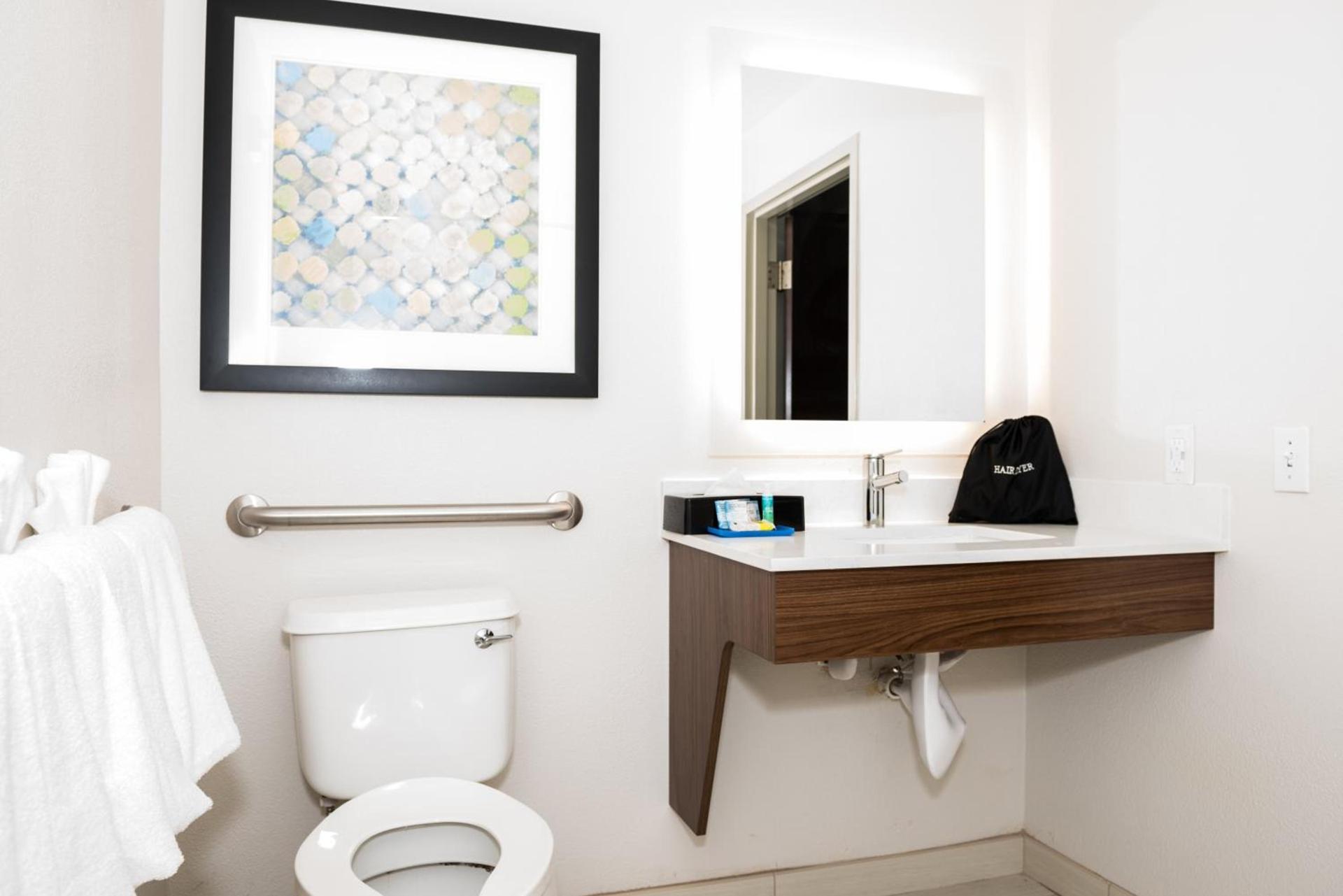 Holiday Inn Express Hotel & Suites Tampa-USF-Busch Gardens by IHG photo 31