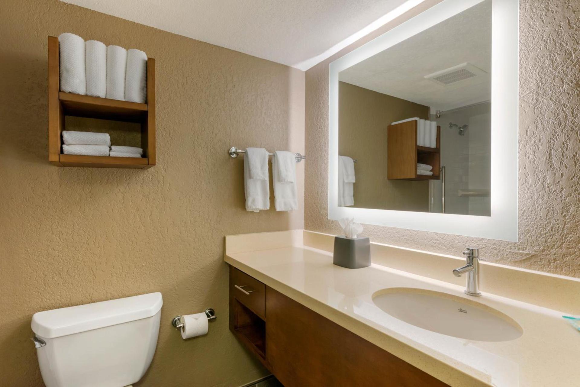 Staybridge Suites Orlando Royale Parc Suites by IHG photo 6