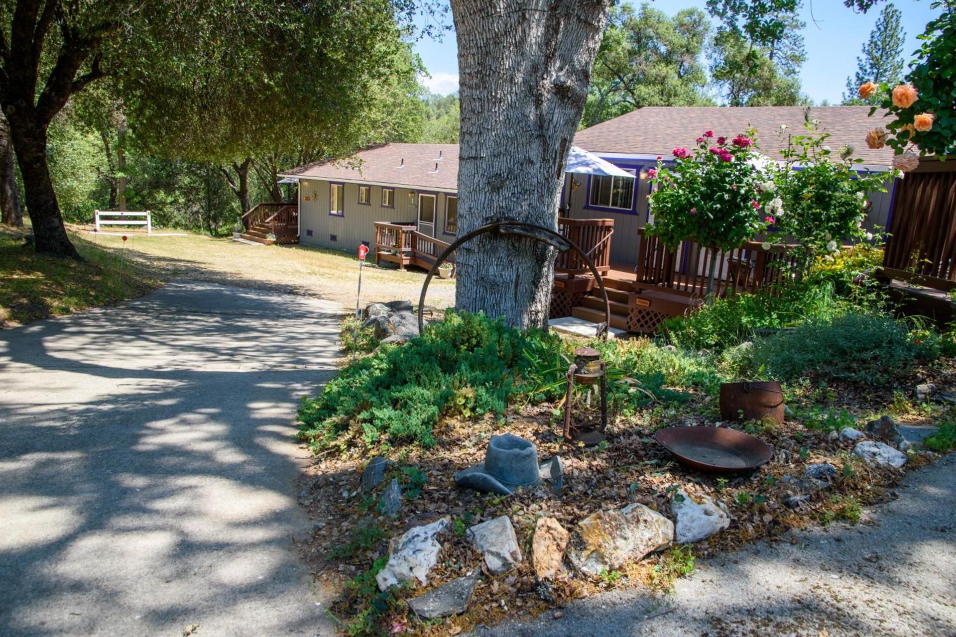 Little Valley Inn photo 44