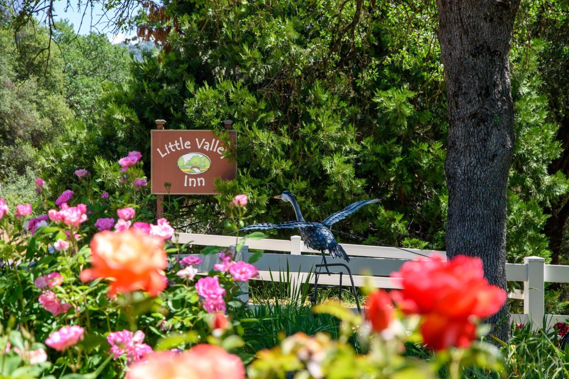 Little Valley Inn photo 50