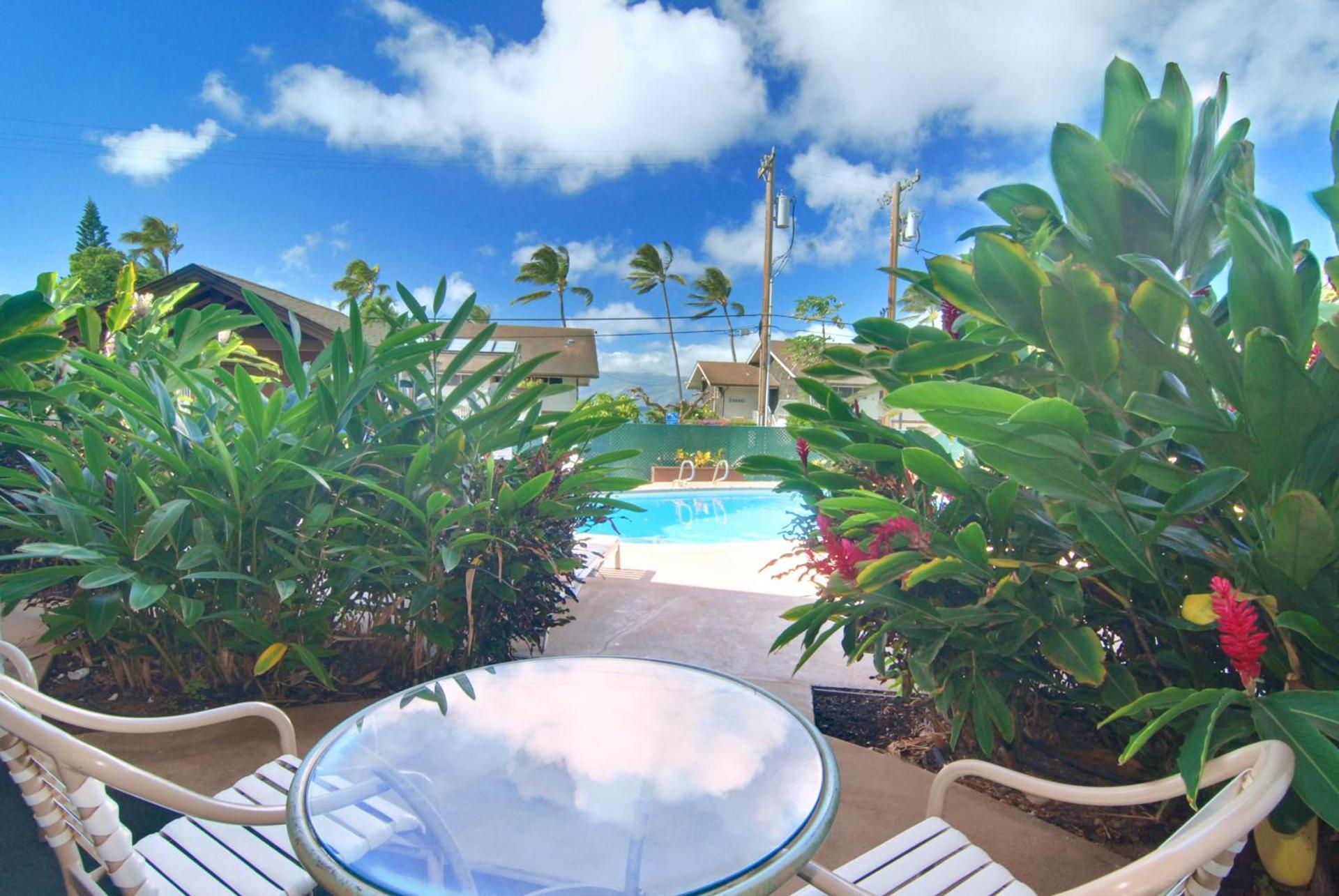 Napili Sunset Beach Front Resort photo 18