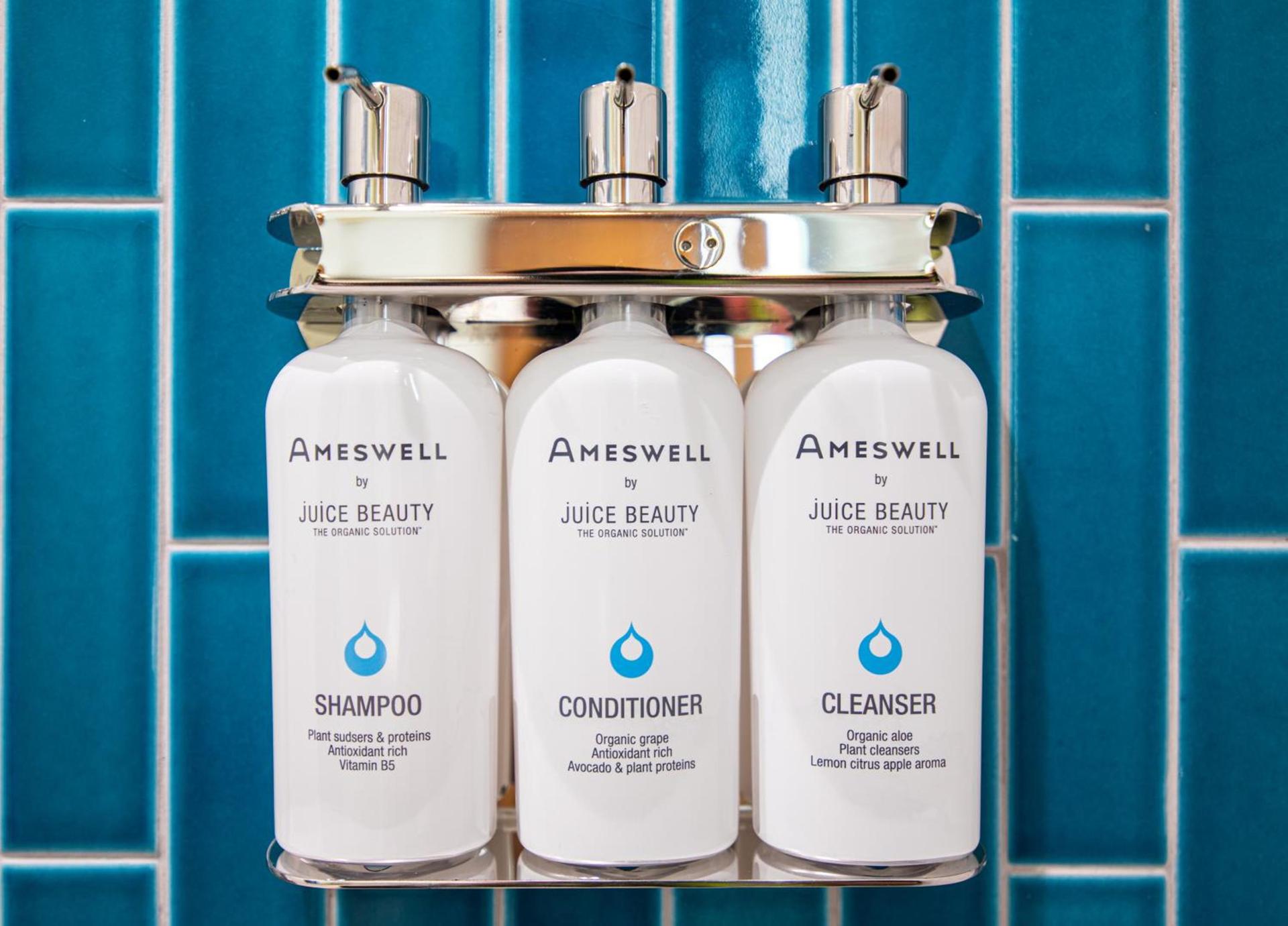 The Ameswell Hotel photo 26