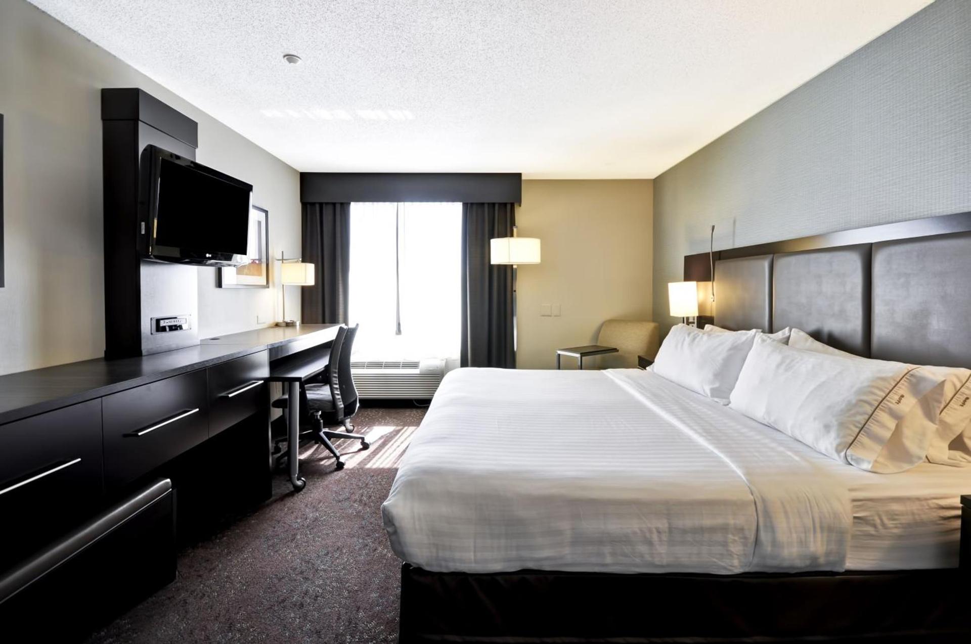 Holiday Inn Express Romulus / Detroit Airport by IHG photo 5