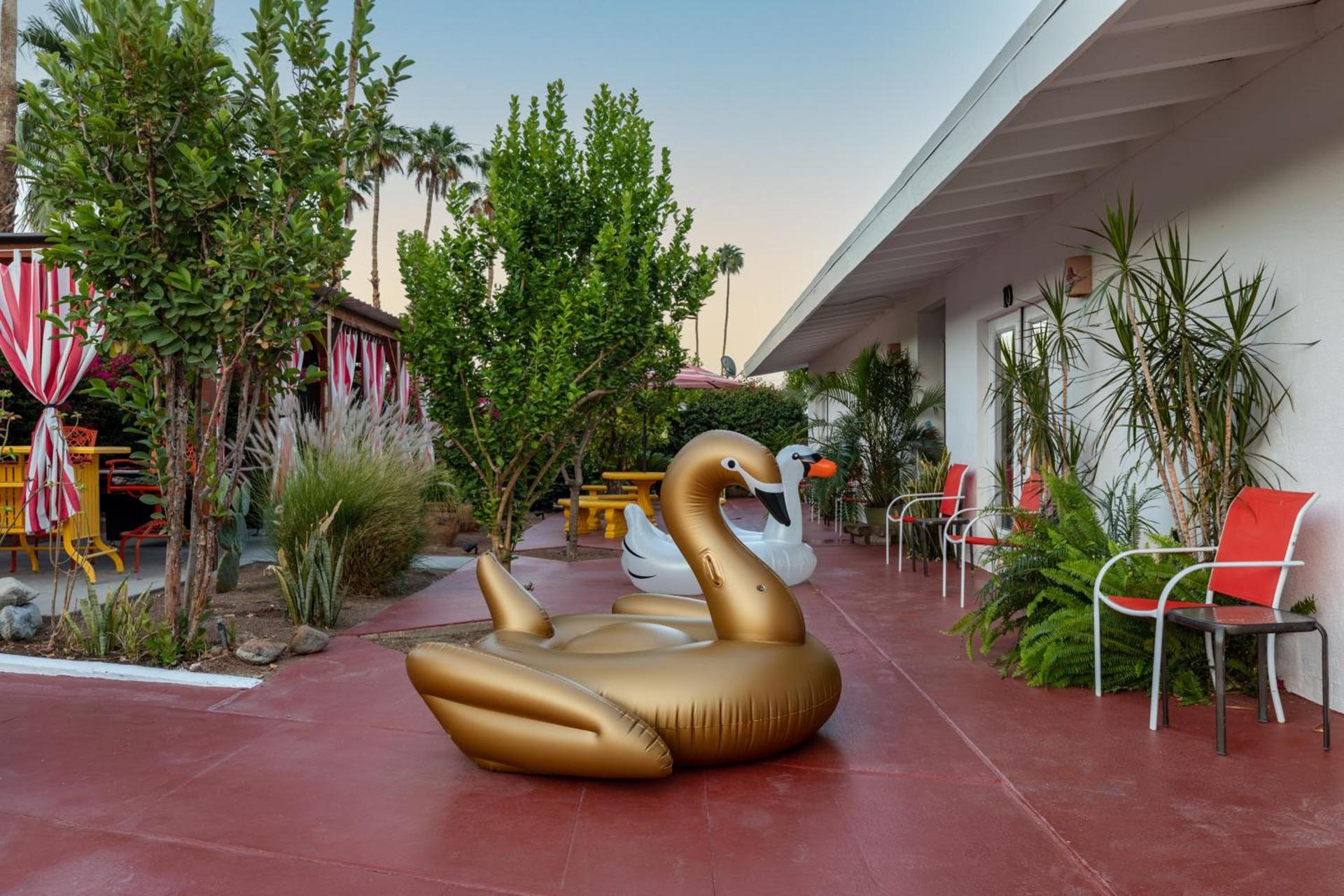 Float Palm Springs - Adults Only photo 84