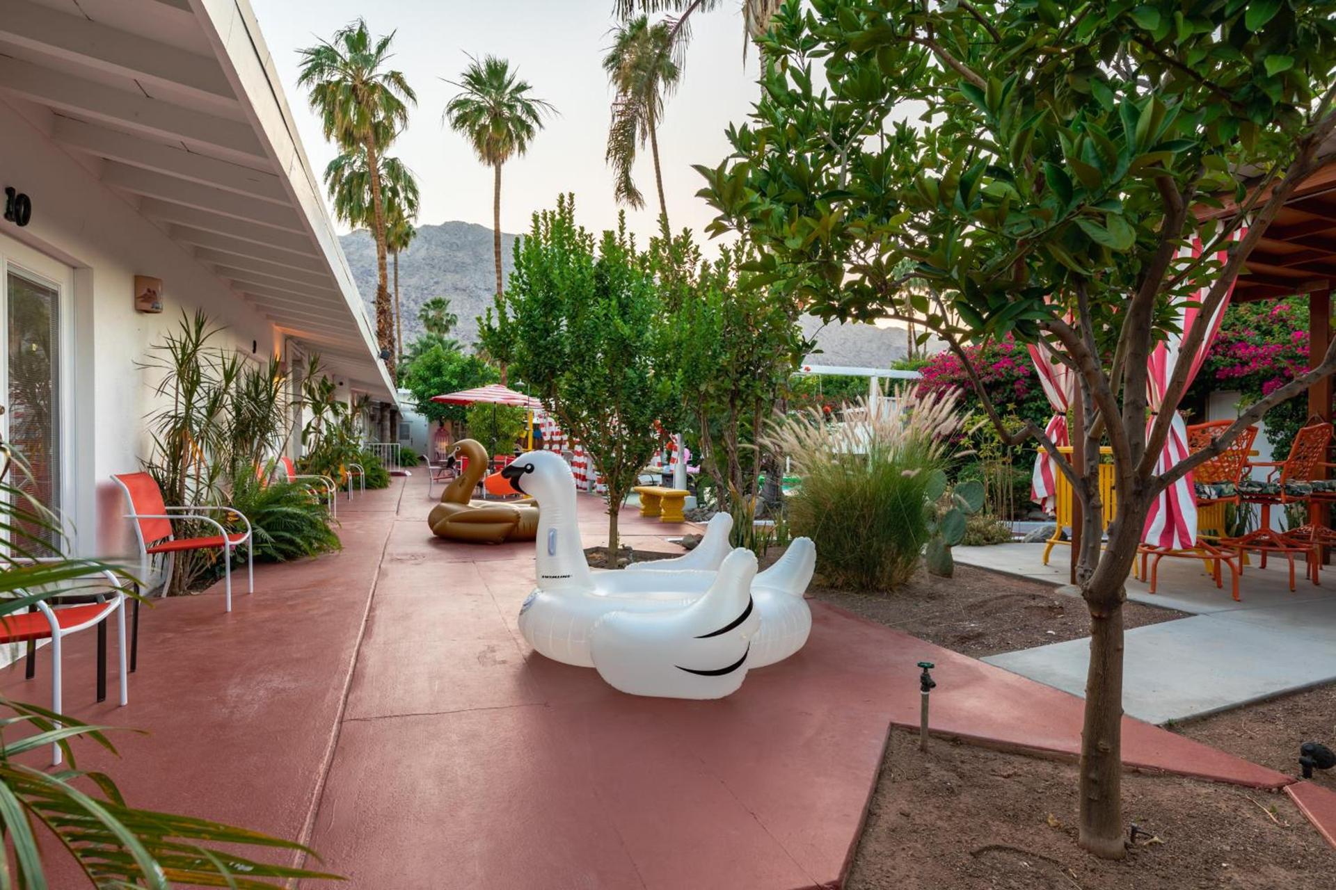 Float Palm Springs - Adults Only photo 82