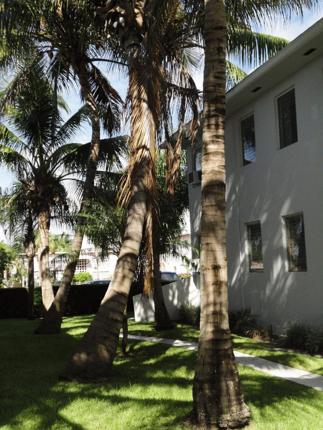 Summerland Suites photo 1