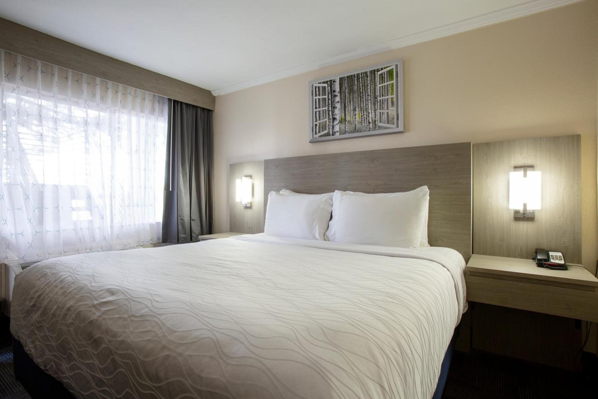 Hotel Aspen Flagstaff/ Grand Canyon InnSuites photo 4