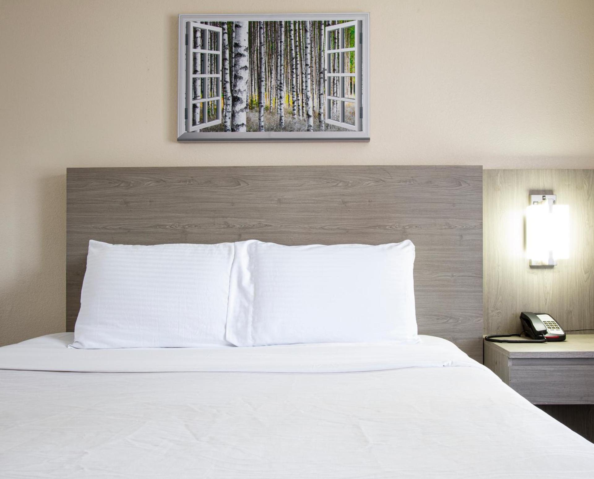 Hotel Aspen Flagstaff/ Grand Canyon InnSuites photo 49