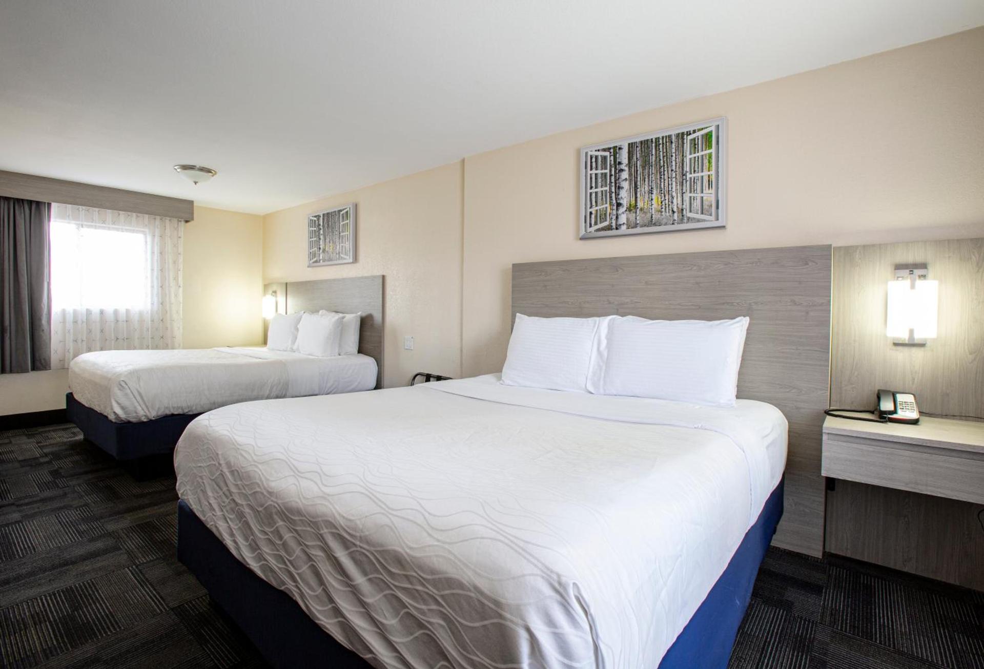 Hotel Aspen Flagstaff/ Grand Canyon InnSuites photo 50