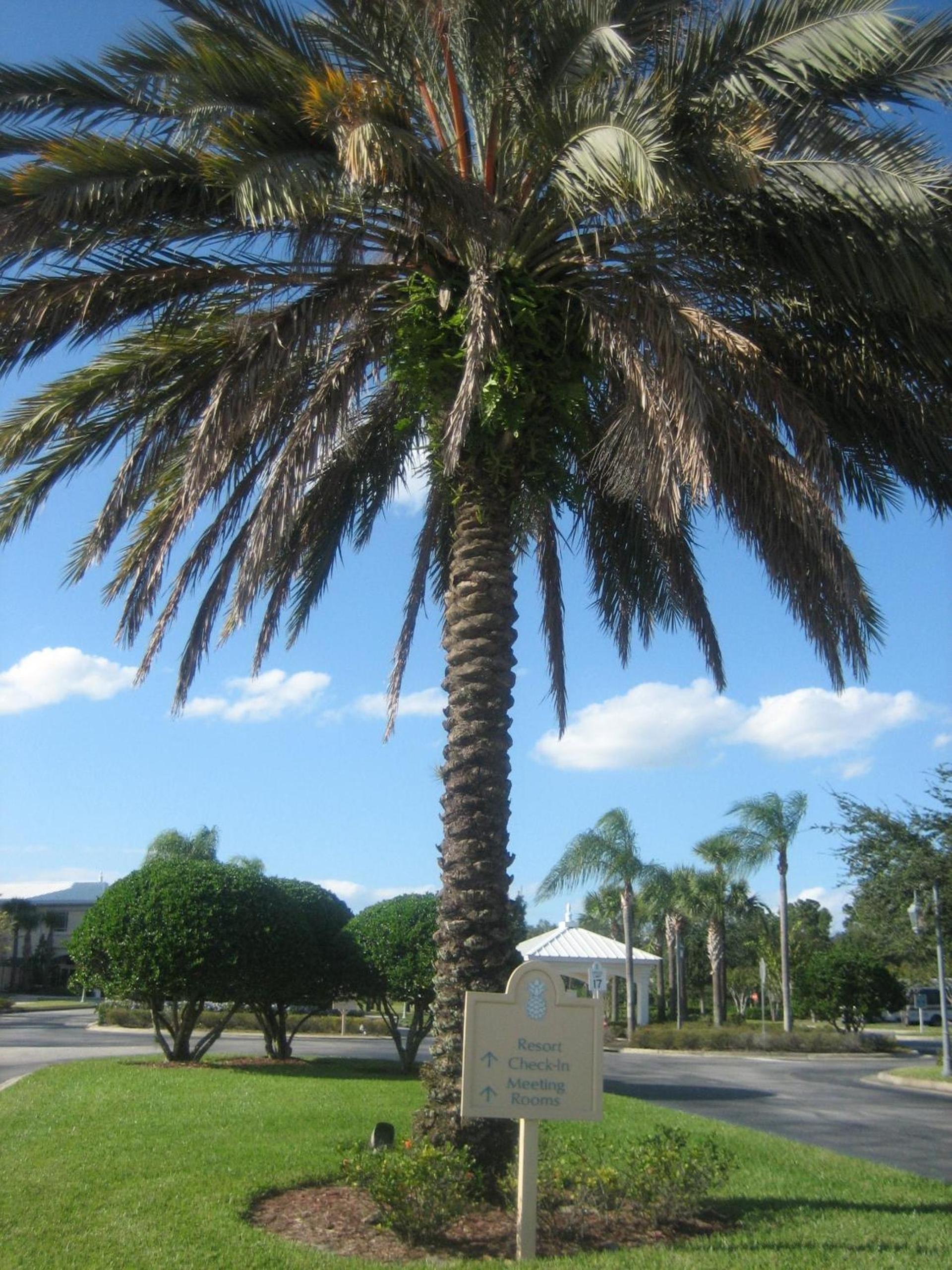 Monumental Hotel Orlando photo 18