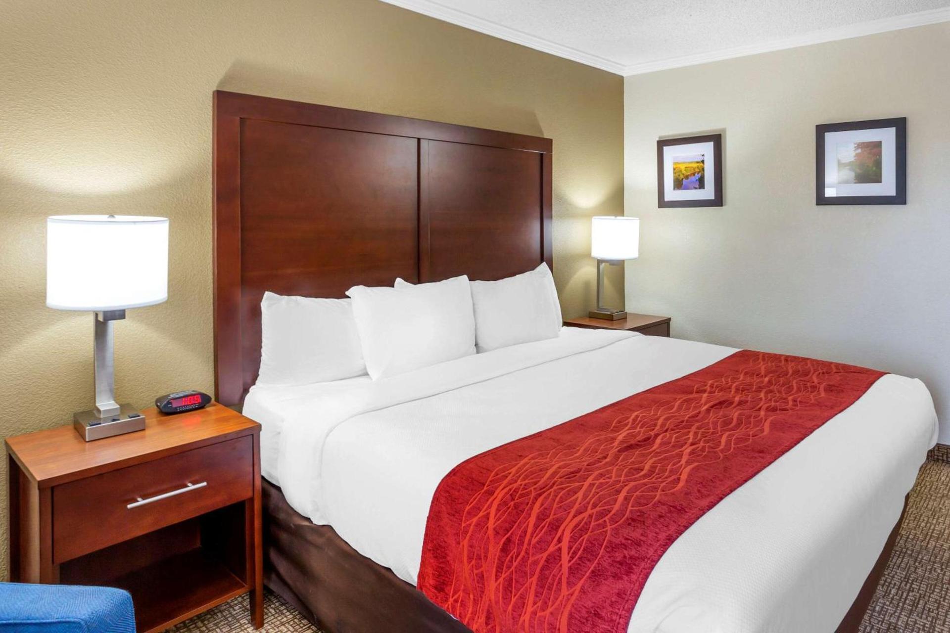 Comfort Inn Hoffman Estates - Schaumburg photo 24