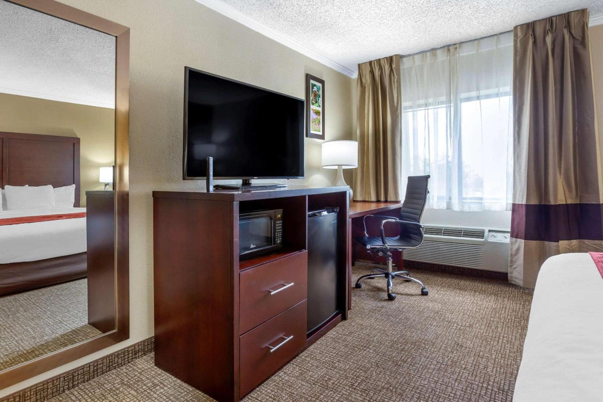 Comfort Inn Hoffman Estates - Schaumburg photo 17
