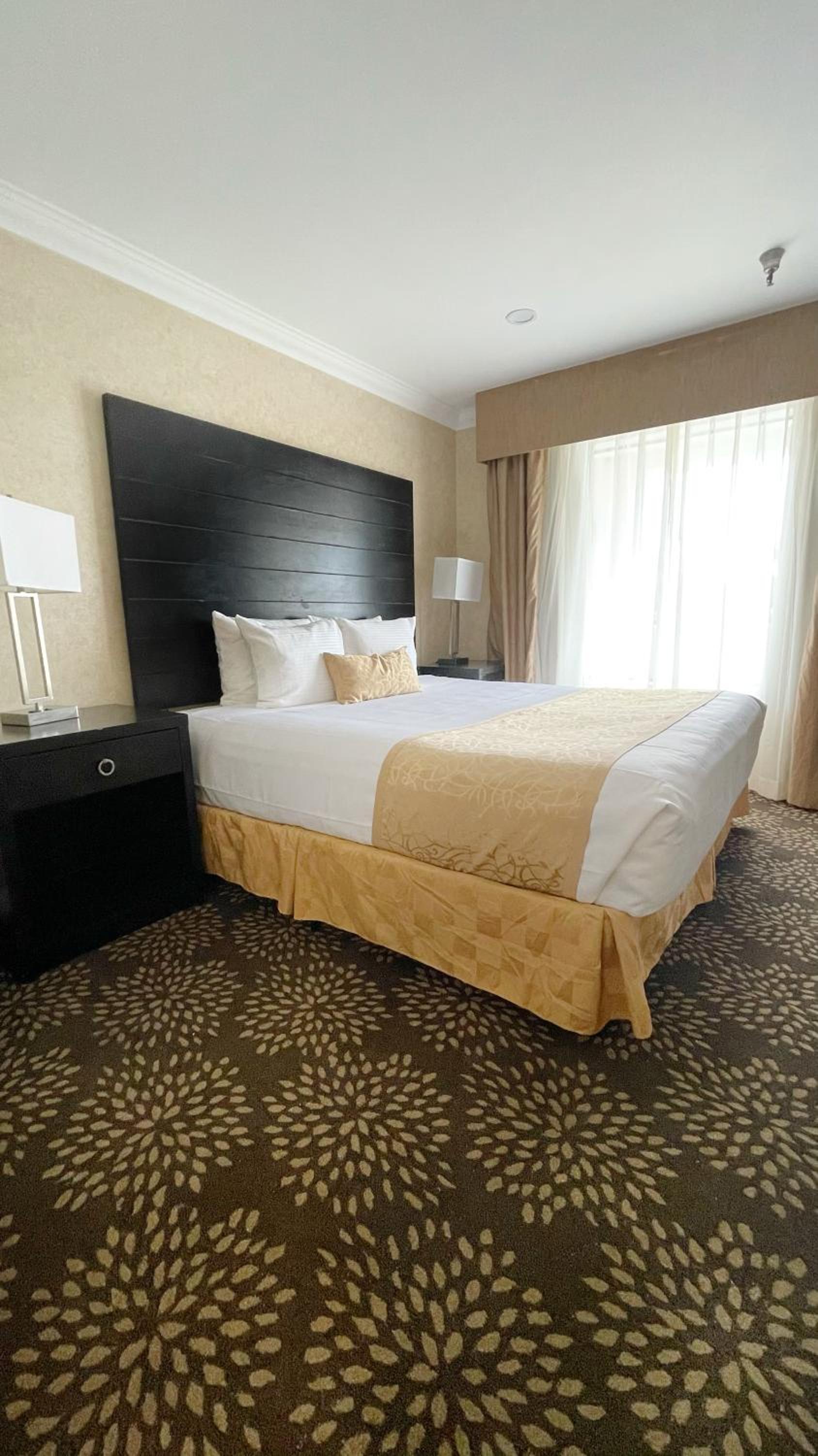 Hotel d'Lins Ontario Airport photo 6