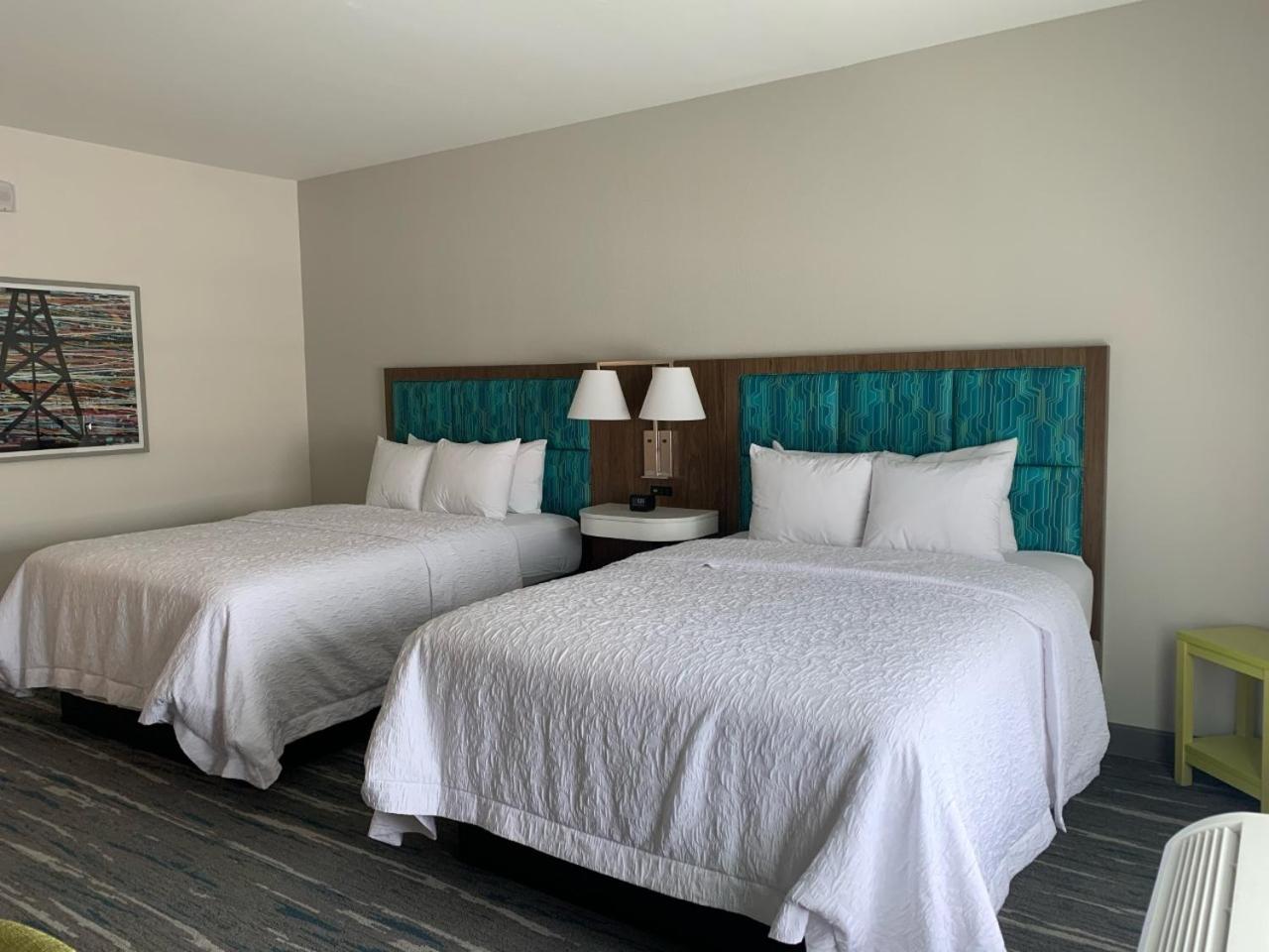 Hampton Inn Monahans, Tx photo 10