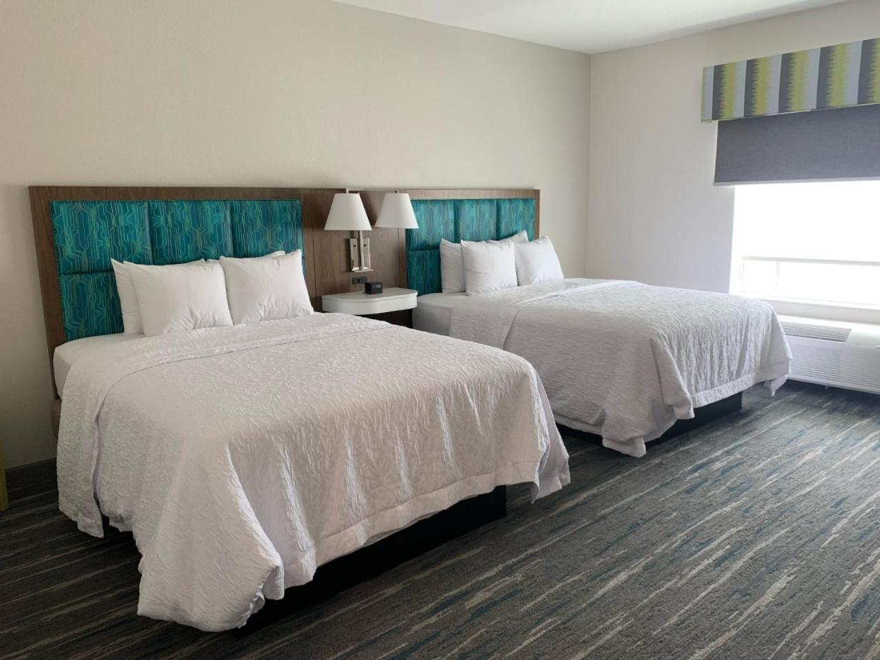 Hampton Inn Monahans, Tx photo 11