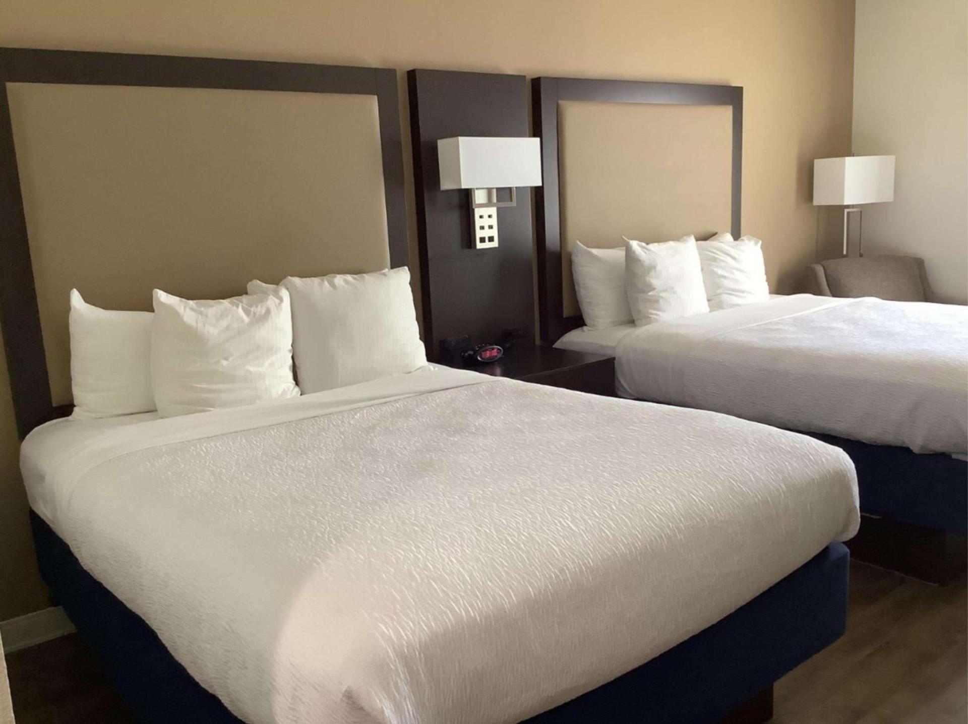 Best Western Plus Madison photo 5