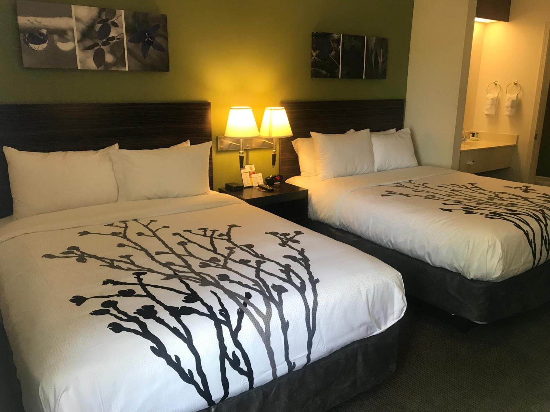 Sleep Inn Raleigh Durham Airport photo 11