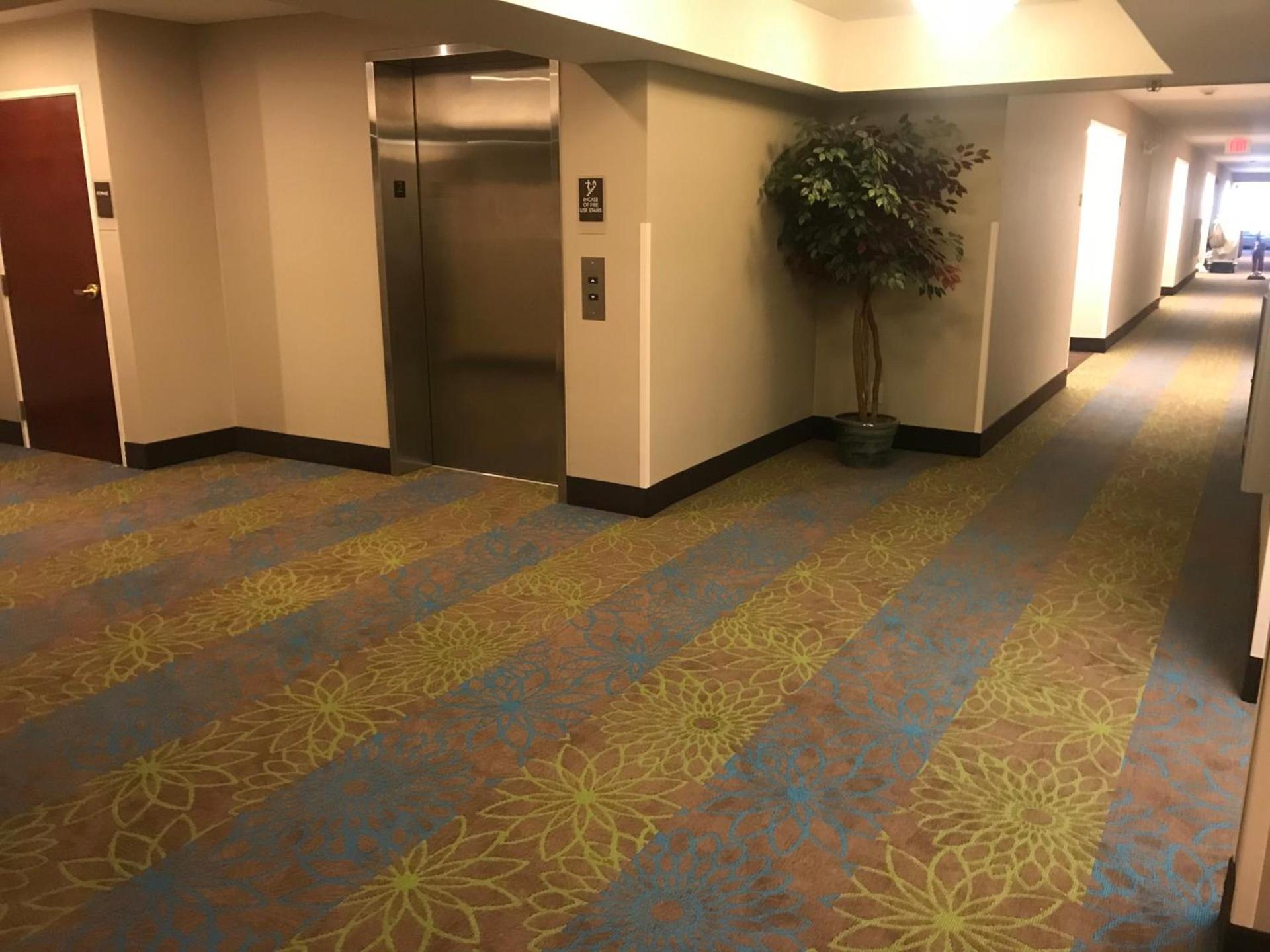 Sleep Inn Raleigh Durham Airport photo 28